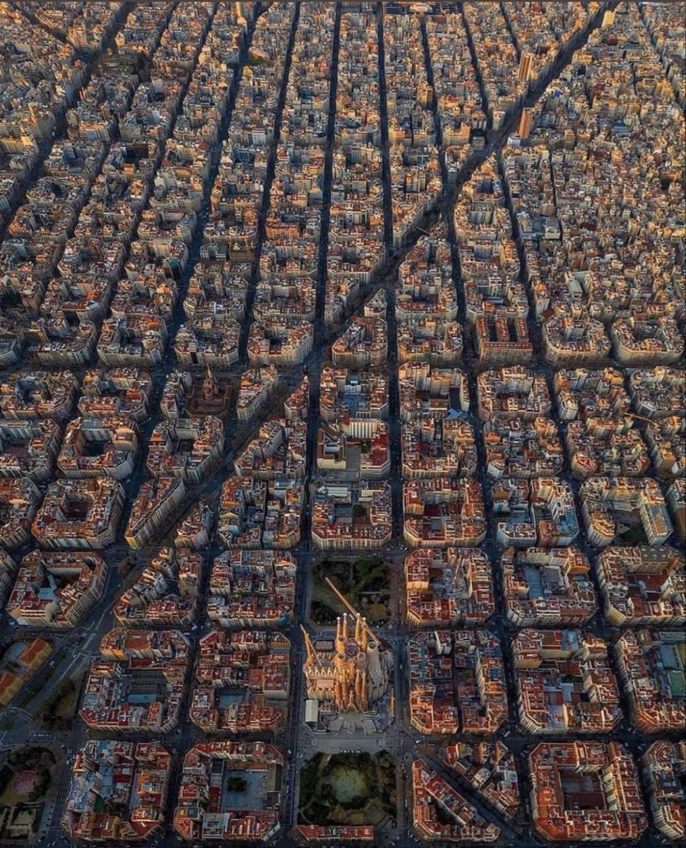 Panto 🏴󠁧󠁢󠁥󠁮󠁧󠁿🇮🇱 tweet media