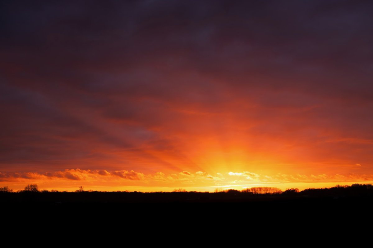 The colour of a fading day #sunset #colour #light #essex #wickhambishops