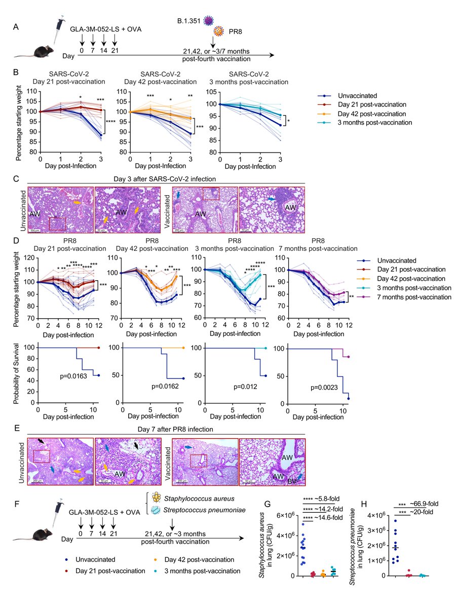 Waggoner Lab tweet media