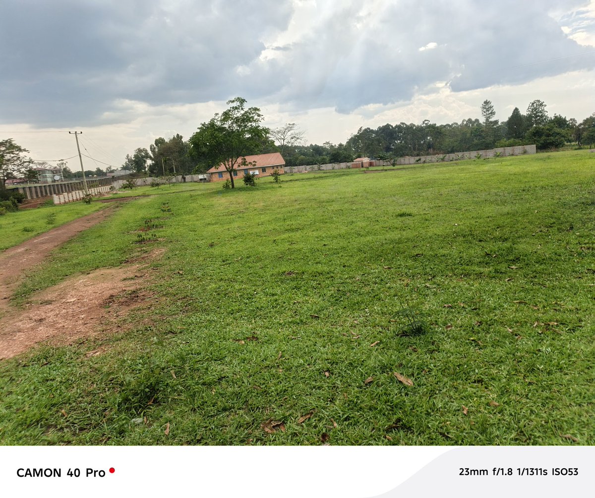 Hoima Diocese tweet media