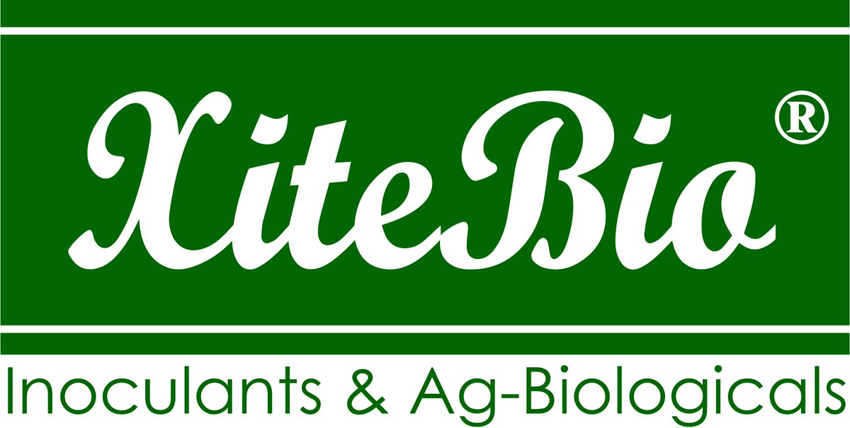 XiteBio Technologies tweet media