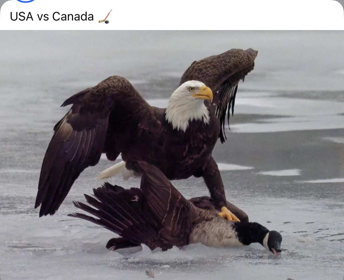 dustin thoms tweet media