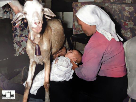 Nisu  (@duobus_fidelis) on Twitter photo 