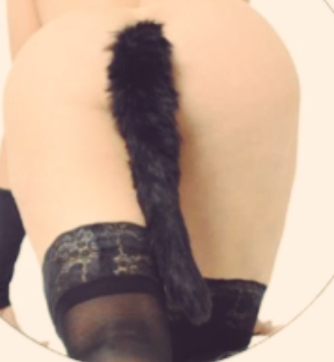 MigueySteph's tweet photo. Y entonces si uso una así me convierte en #therian?? 😟
O sino siendo puti esposa????🤭

#confundida. 😵‍💫😵‍💫😵‍💫😵‍💫😵‍💫
Que opinan ? https://t.co/3UNYToOWSC