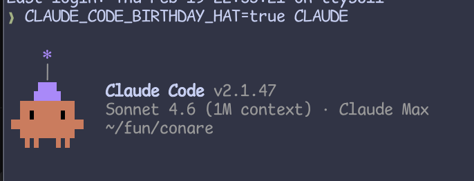 set CLAUDE_CODE_BIRTHDAY_HAT=true for a birthday hat