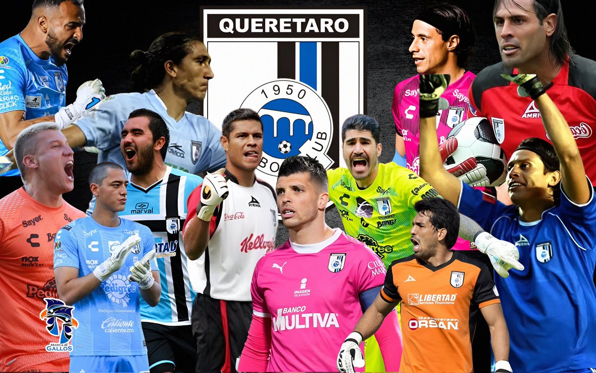 Marcaje Gallos tweet media