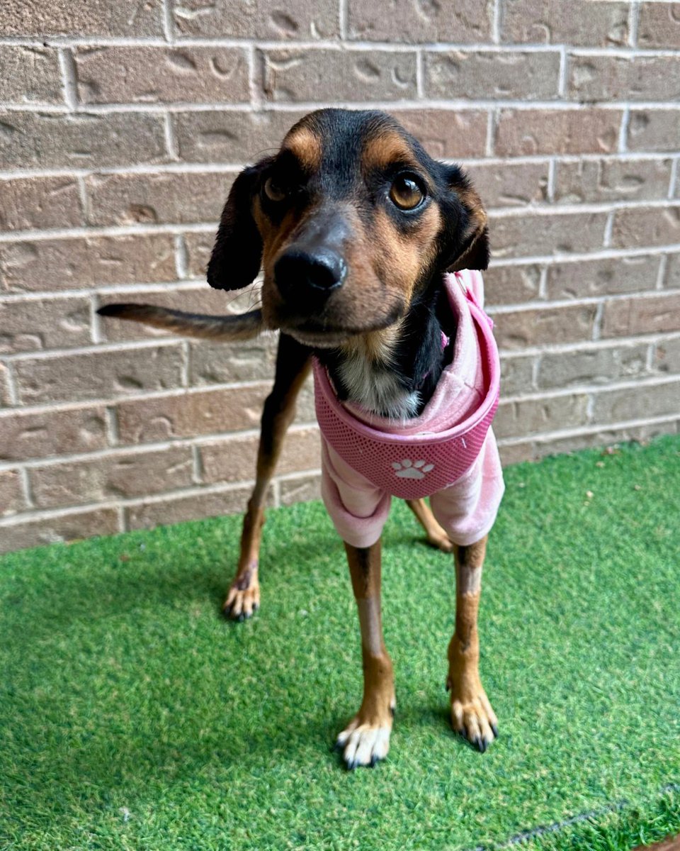 15/10 Foundation tweet media