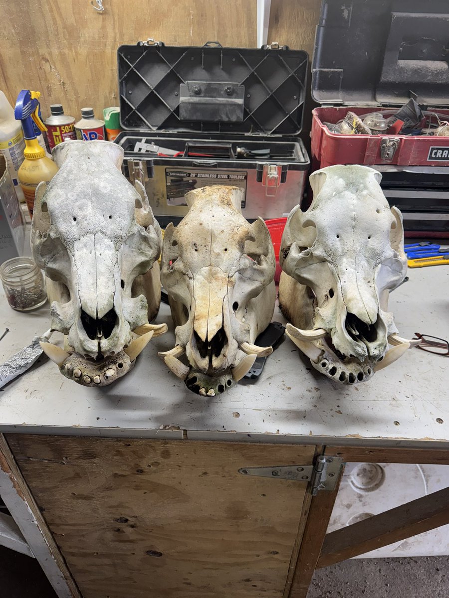 Greg Gunthorp tweet media