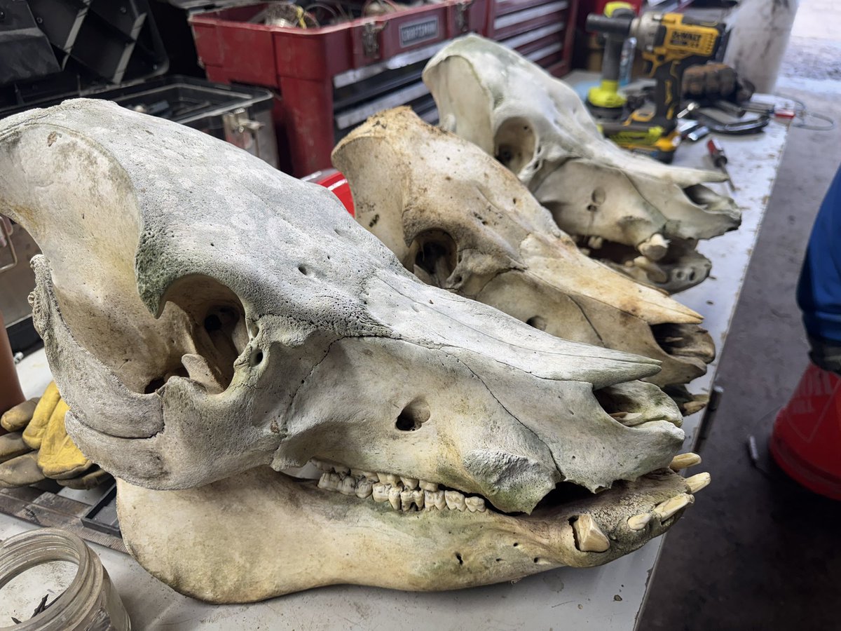 Greg Gunthorp tweet media