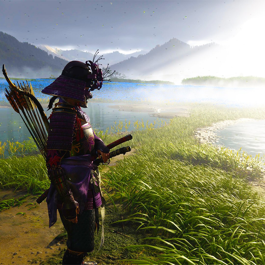 🇻🇮 The Wolf 🇵🇷 tweet media