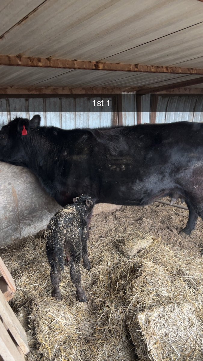 Chad Engle. tweet media