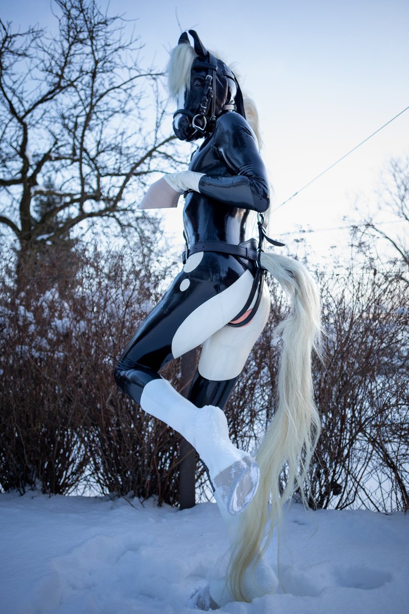 Wild Horse tweet media