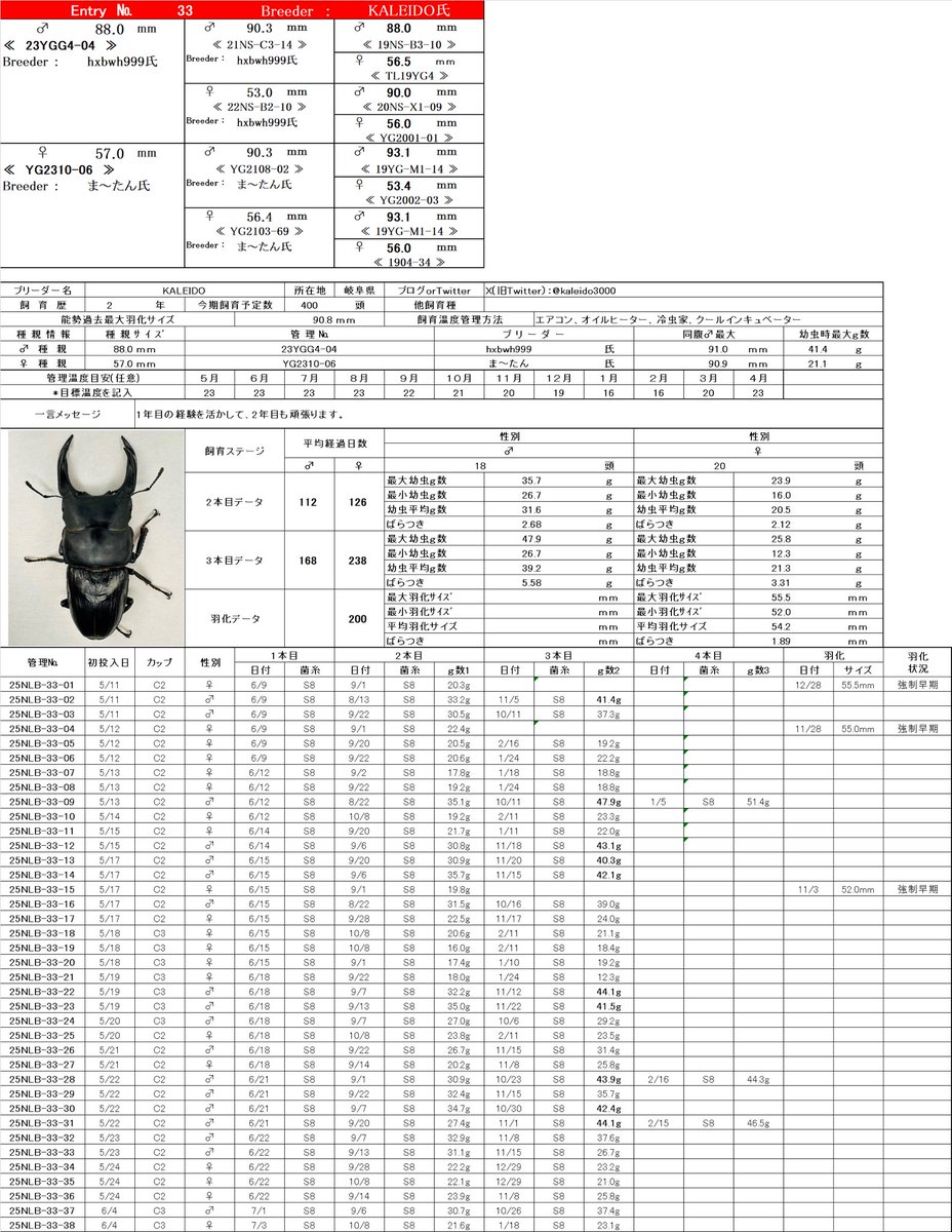 レイチェル (@Raychell_SR) / Posts / X