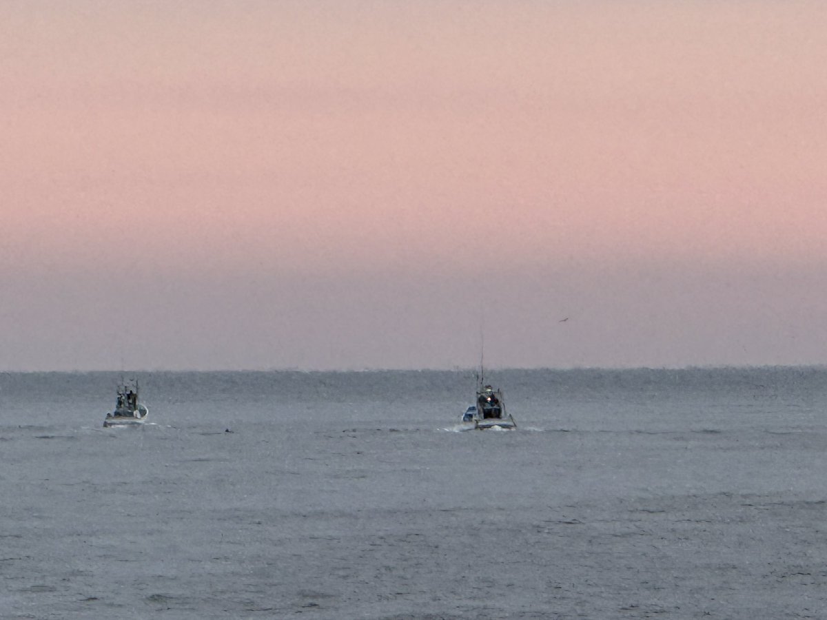 KunitoSeko's tweet photo. Good morning everyone.
The hunting boats left the harbor at 06：39

#和歌山 
#太地
#Taiji
#太地くじらの博物館 
#太地くじら浜海水浴場 
#太地いさな組合 
#太地漁業協同組合 
#イルカ追い込み猟廃止を求める 
#イルカ追い込み猟 
#イルカ追い込み反対 
#イルカトレーナー 
#イルカ https://t.co/9Oc5zNDPEZ