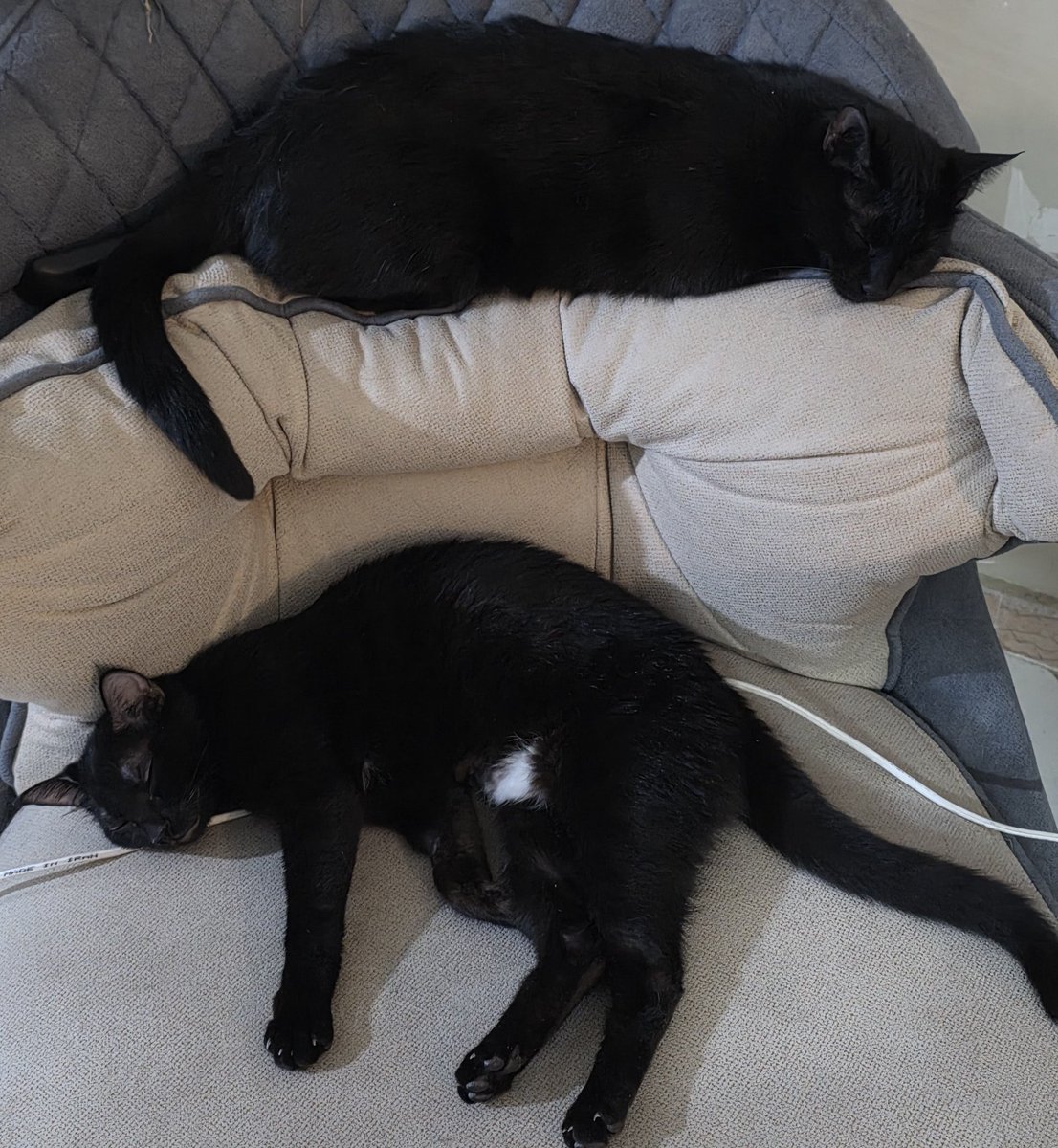 shishi⋆🇮🇷 tweet media