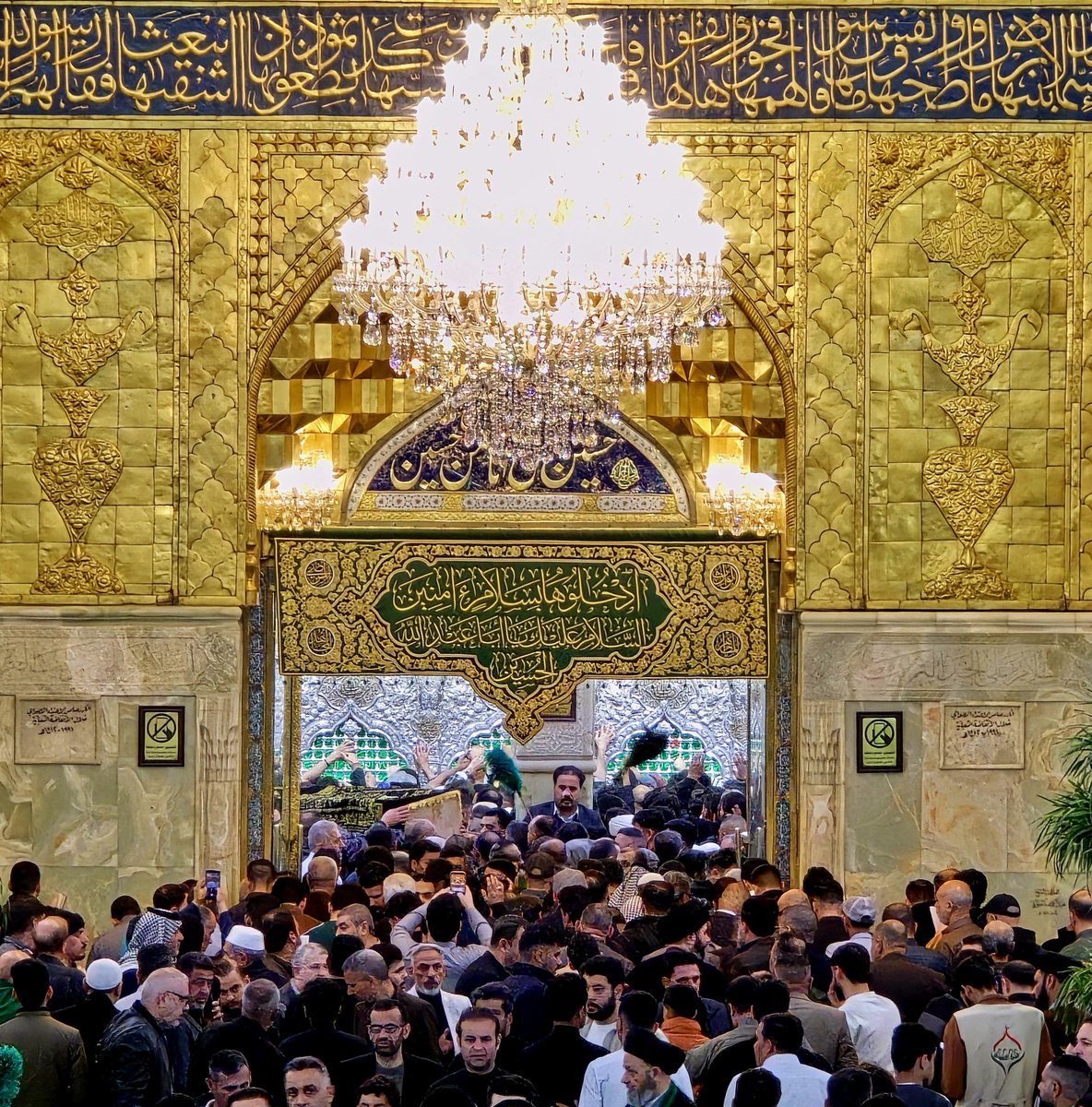 امید نریمانی/ فامیل دور 🟩 ☫ 🟥 tweet media