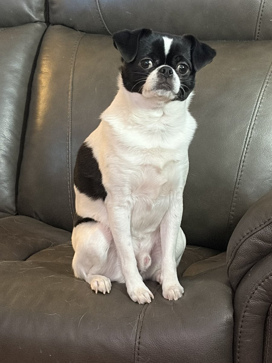 Cleo 🌈 of Hellbeasts tweet media