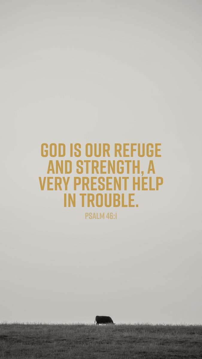 Angus Journal editor tweet media