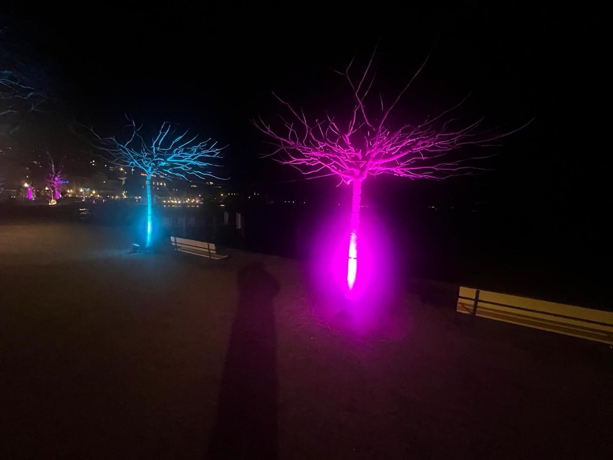 Albert Leiser tweet media