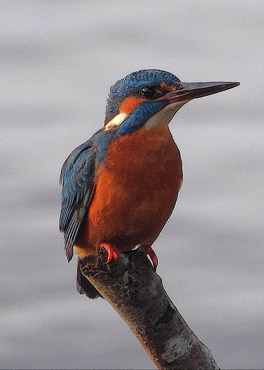 Andy Paton @andypaton.bsky.social tweet media