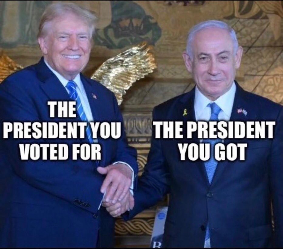 Peter D. L tweet media