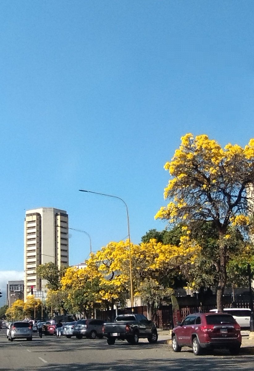 Así de lindo es esto a veces.