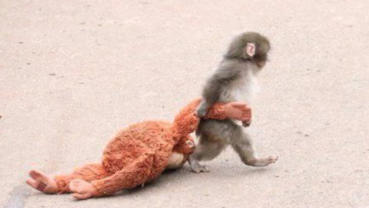 Greftiw's tweet image. as vezes me sinto assim