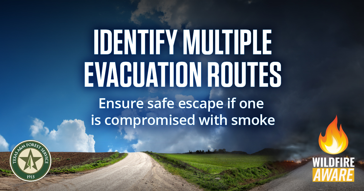 Texas A&M Forest Service tweet media