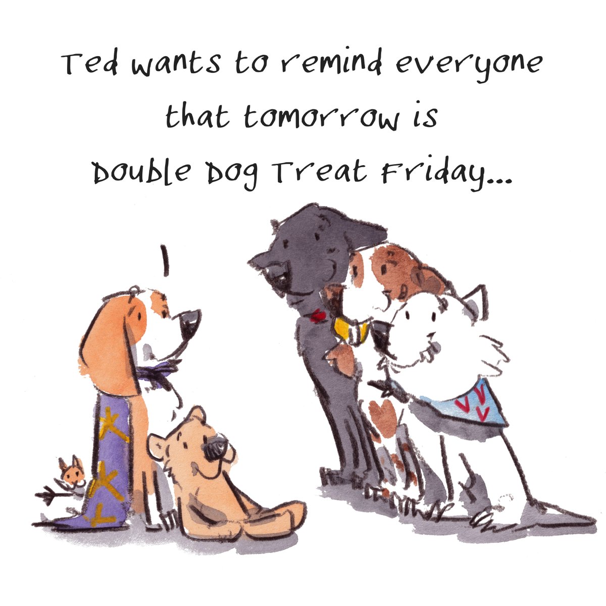 Good night, lovely people and lovely dogs.
Ted wants to remind everyone that tomorrow is Double Dog treat Friday...
Sleep well and sweet dreams. 
I'm wishing you the very best for the tail end of your week. 
#hoorayfordogs #beagle #teddy #labrador #springer #westie #redsquirel