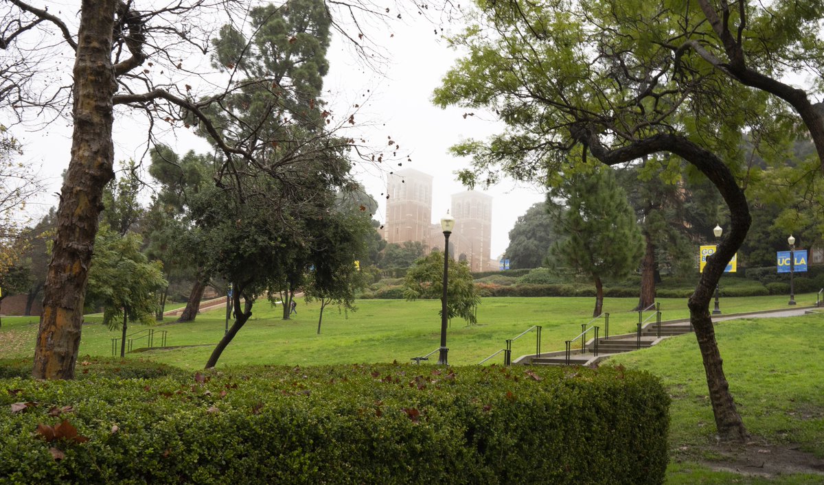 UCLA Alumni tweet media