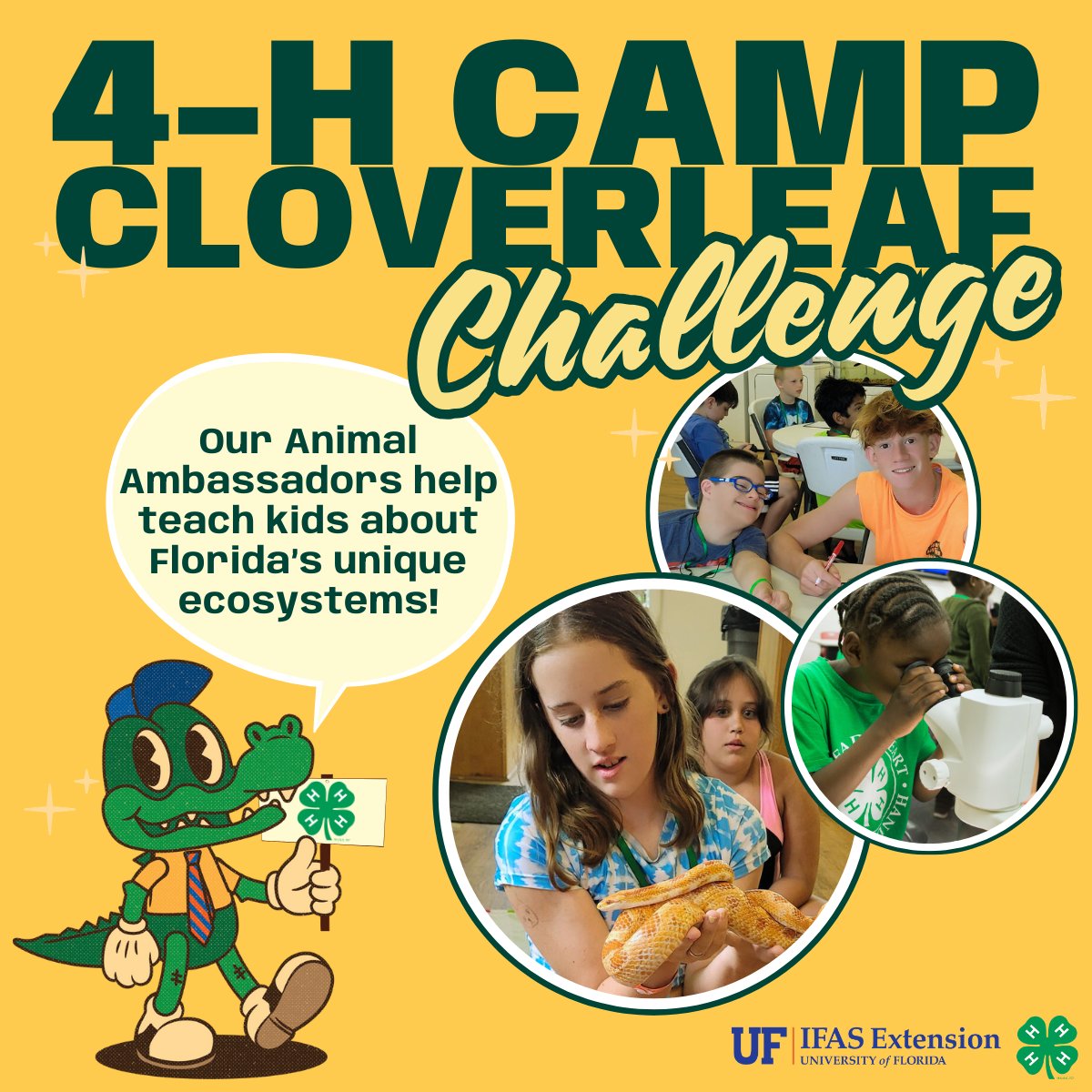 florida4h tweet media