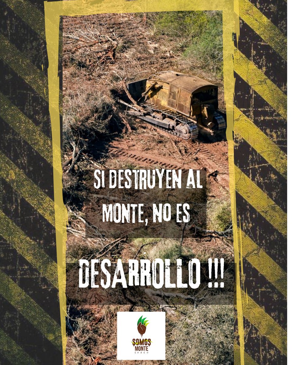 Somos MONTE Chaco tweet media