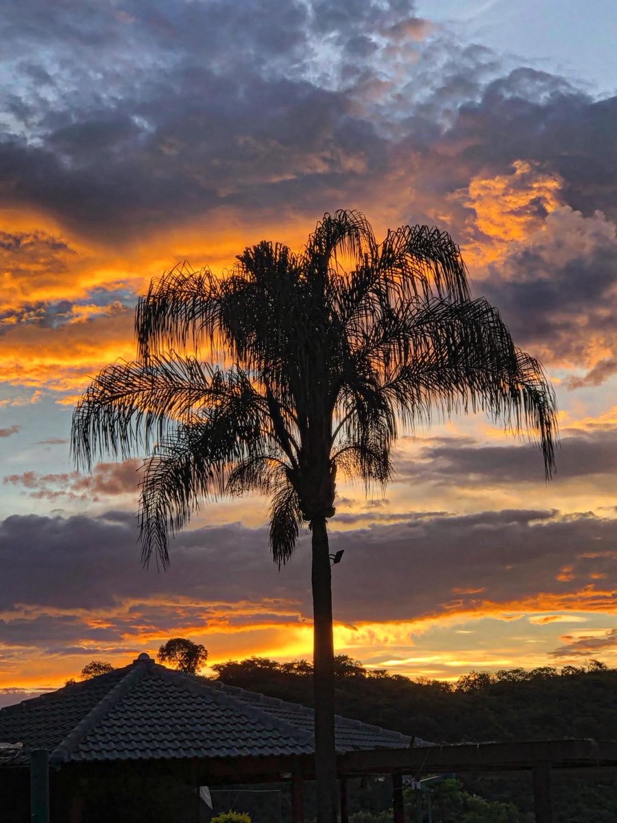 DaniloA08106919's tweet image. Quinta feira depois das cinzas. Contemplando a natureza, uma forma de oração. 

#pôrdosol #sunset #natureza #naturephotography #sky