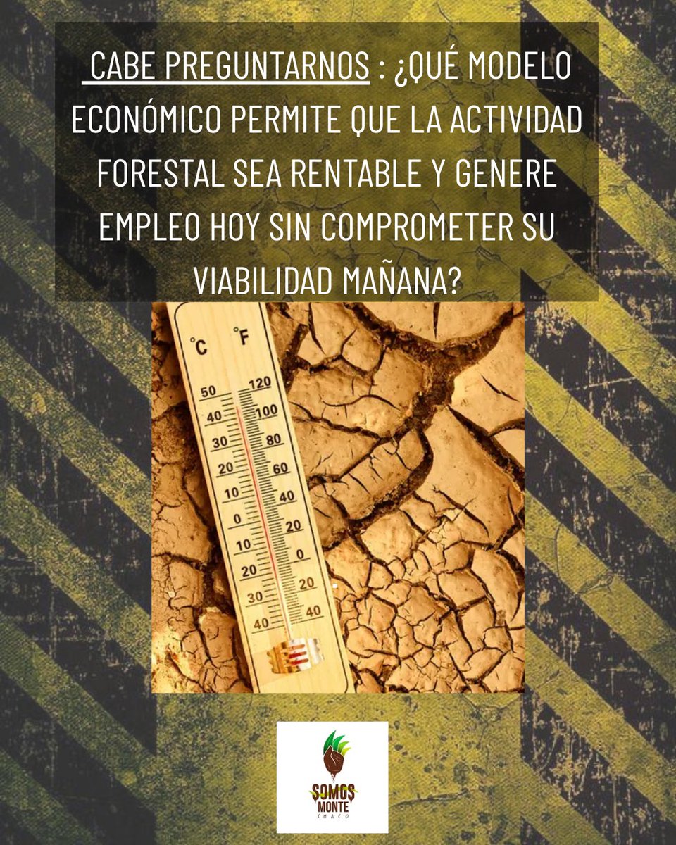 Somos MONTE Chaco tweet media