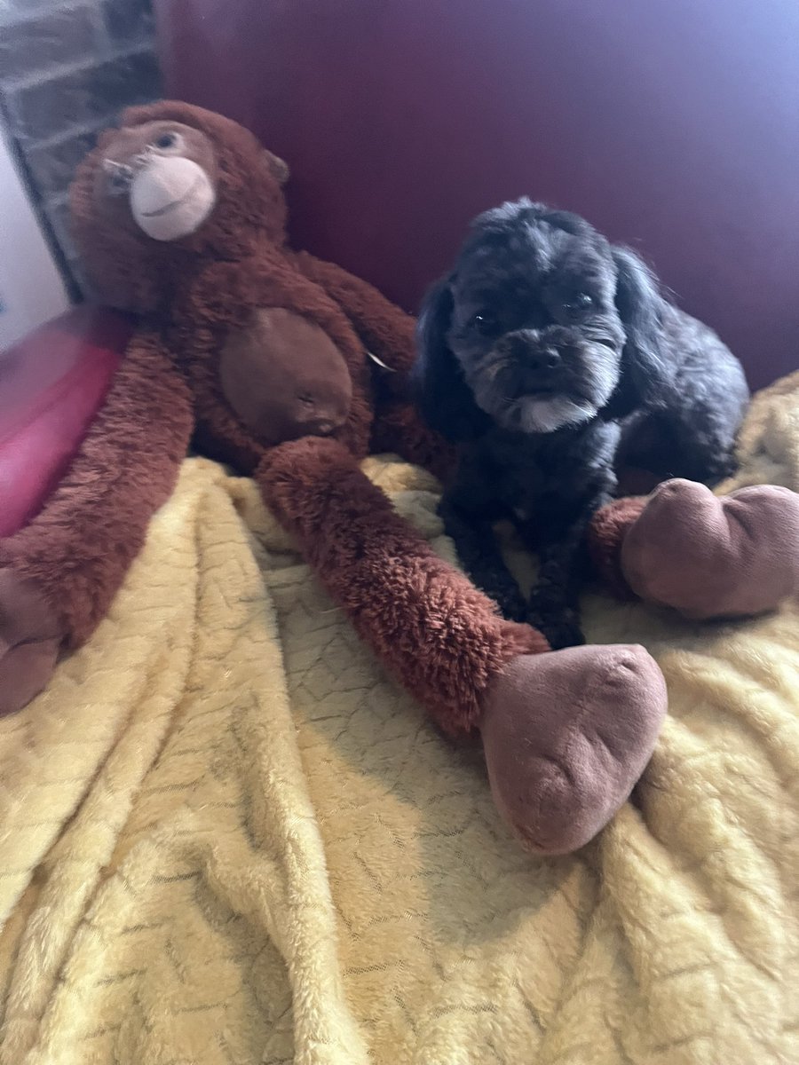 Addilyn (@addirecord) on Twitter photo 