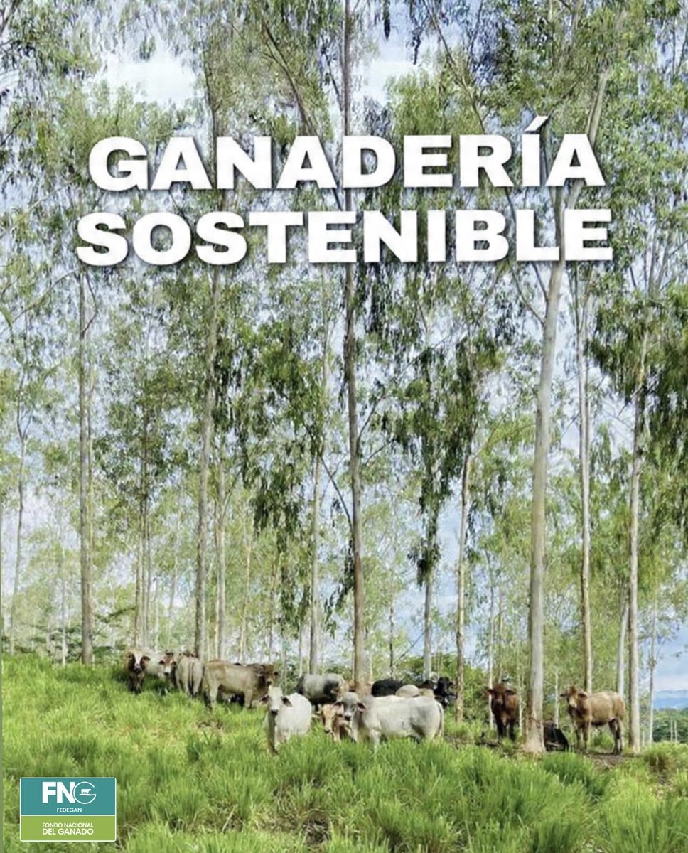 Fedegan Antioquia tweet media