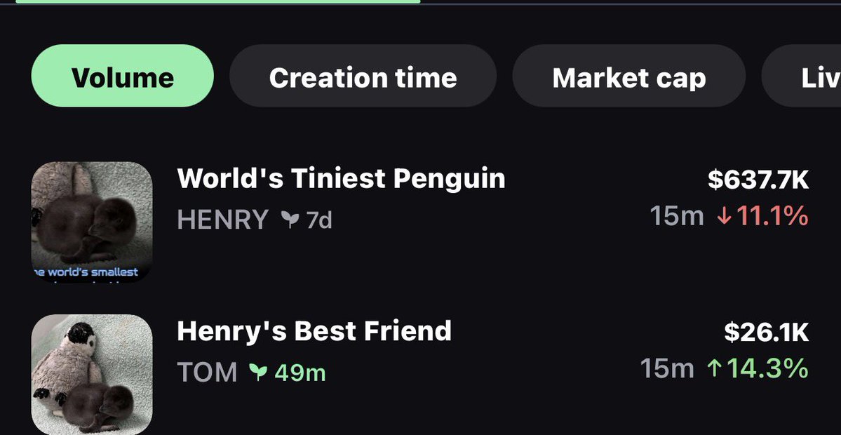 TOM Henry best friend deserves to bond 

Send it higher.