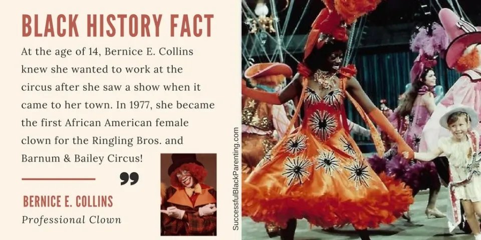 Owens Intermediate tweet media