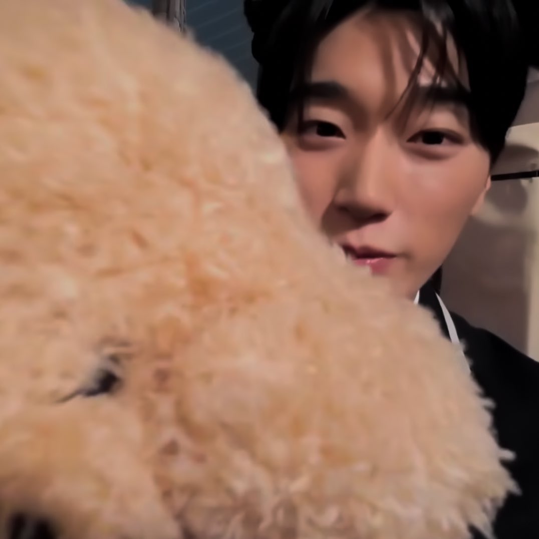 alice (@heartinsani) on Twitter photo 