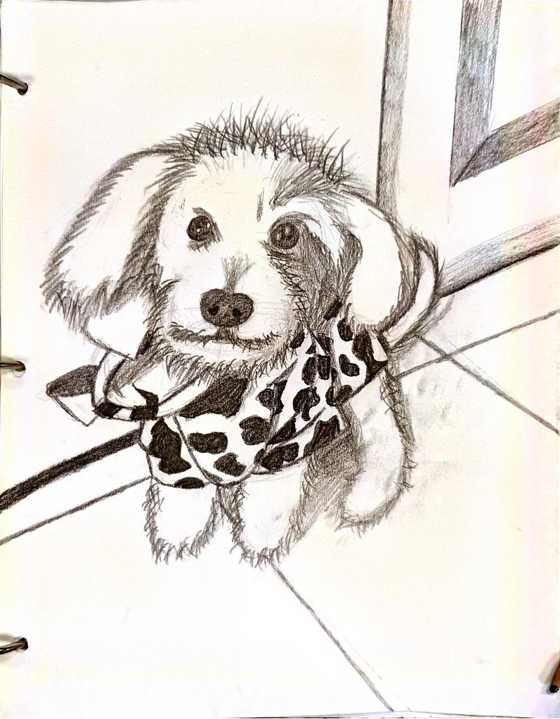 Puppies :3 for perspective practice