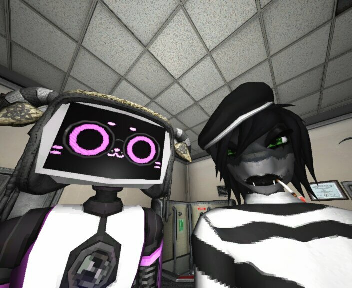 Meeka 🦝 tweet media