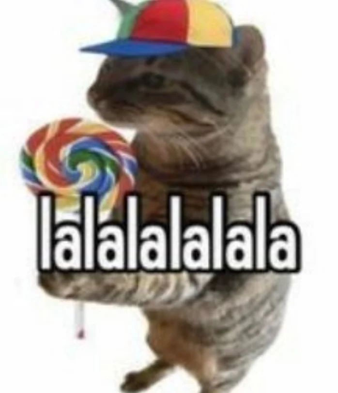 Punch Cat (@punchingcat) on Twitter photo 