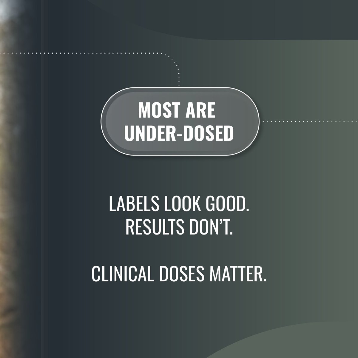 Beyond Alpha tweet media