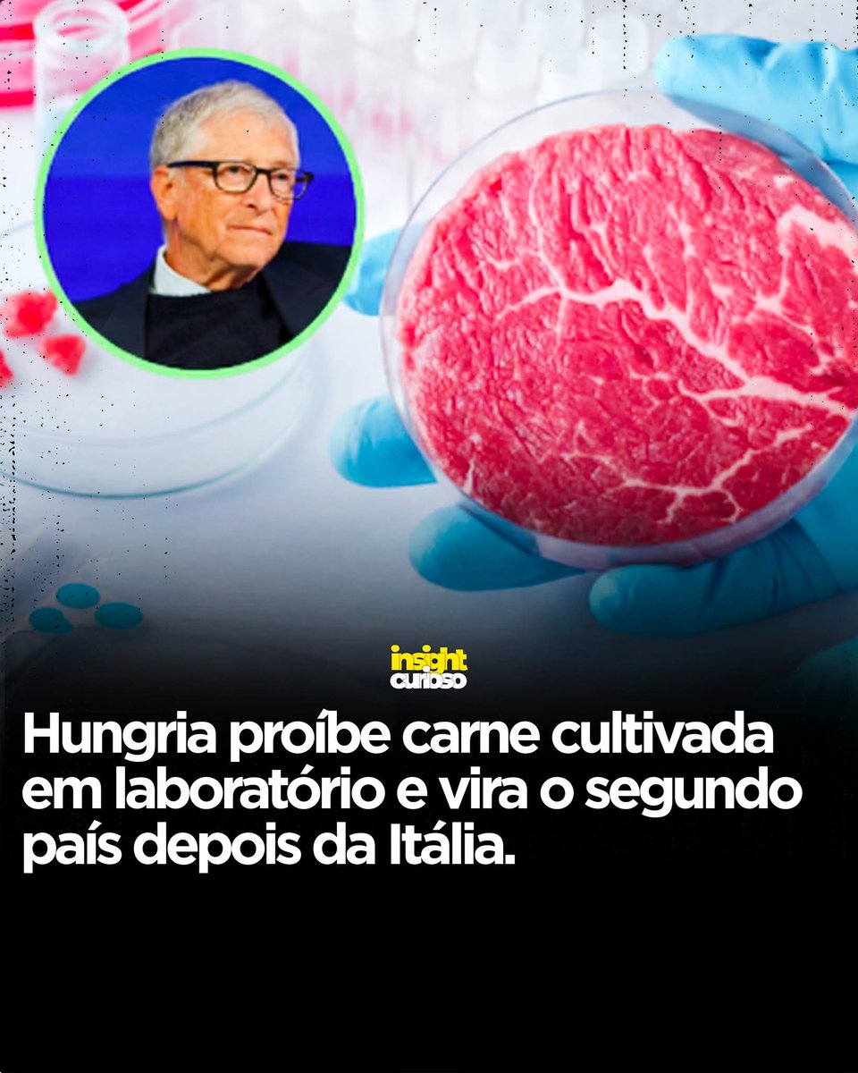 Bill Gates infectou redes de computadores para vender o antivírus;

Bill Gates atua na fabricação de vacina humana;

Bill Gates está envolvido com o Epstein;

Bill Gates está produzindo carne sintética em laboratório para você comer.