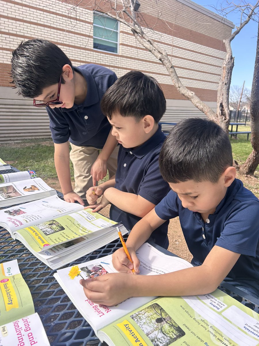 Seminary Hills Park Elementary tweet media