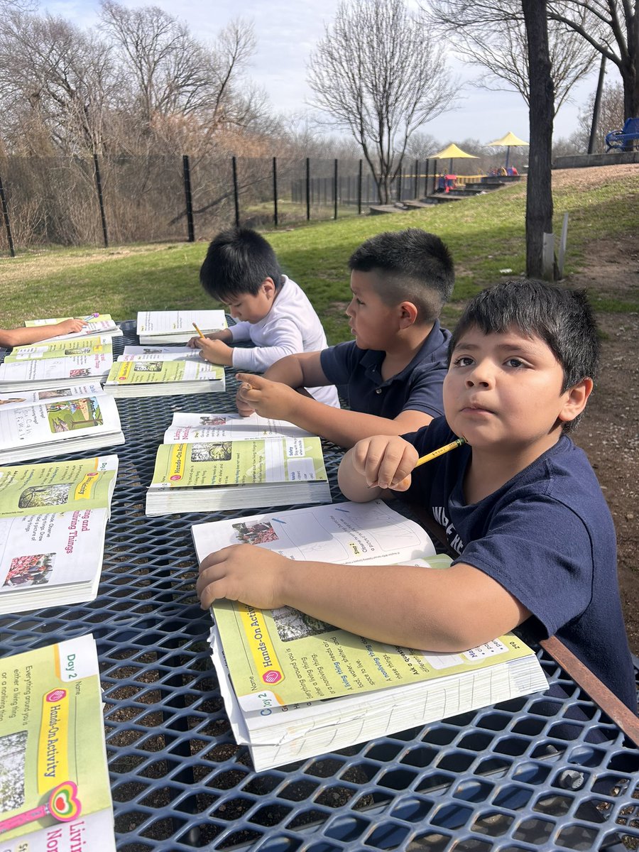 Seminary Hills Park Elementary tweet media