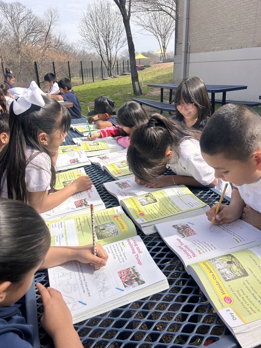 Seminary Hills Park Elementary tweet media