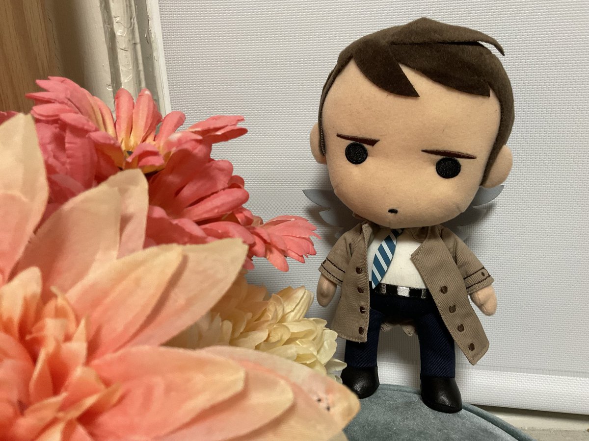 castiel nui tweet media