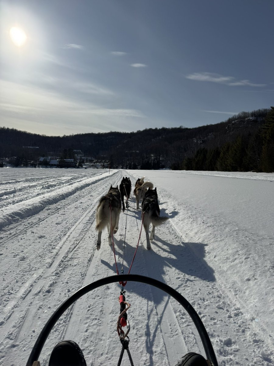 Le pays de malade mental qu’est ce qu’il raconte lui