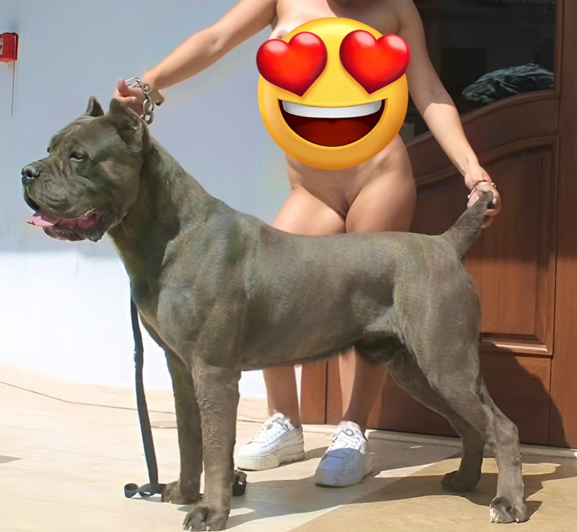 irregularknotts's tweet photo. Don't miss out Click on my link below for exclusive dog contents and zoo videos 
TAP MY LIBK BELOW 
 https://t.co/AoCvR627PP
Nothing beats the sweet taste of doggy cum😊

 #Dallas #dogbitch #aoz #k9slut #zoolove #doggy #k9lady #knottygirl #人兽 #zoosarevalid #furry #zoofur #ζ https://t.co/FaHS52lVlq
